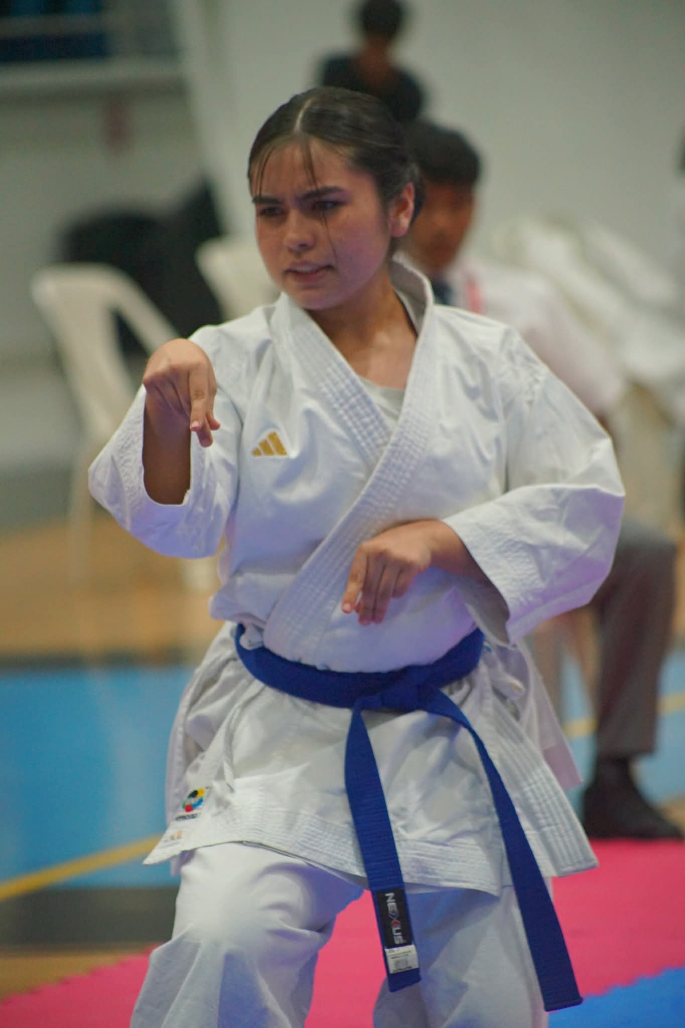 Entrenamiento de Karate FEMEKA